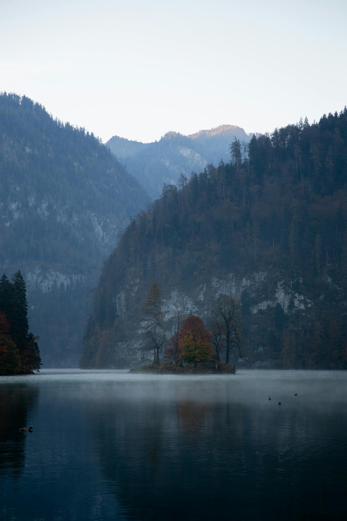Peaceful mountain lake surrounded by misty forest